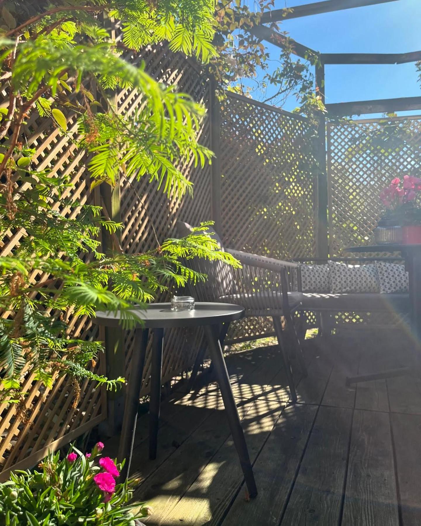Ferienwohnung Schoenwaelder Mit Kleiner Terrasse Und Wall Box Букстегуде Екстер'єр фото